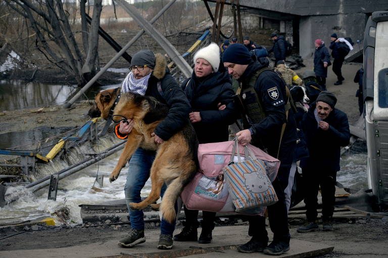 Os pets sob a guerra na Ucrânia