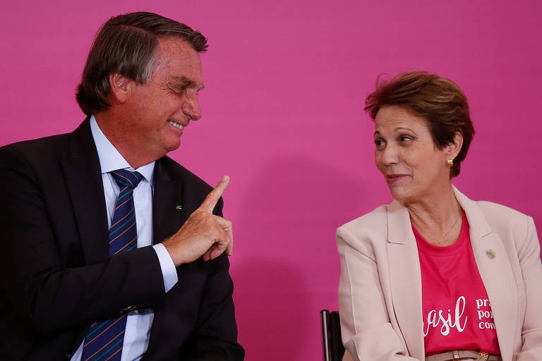 Aliados encomendam pesquisa para medir impacto de Tereza Cristina em eventual chapa com Bolsonaro