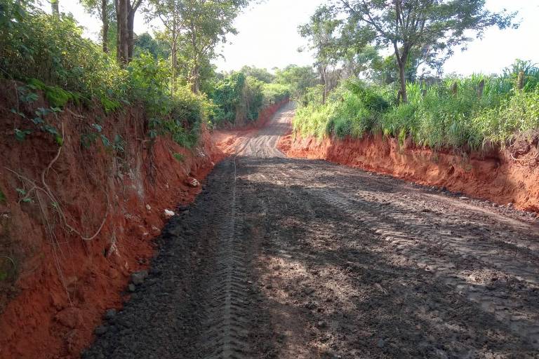 Estrada recuperada em Pará de Minas, com floresta nas margens