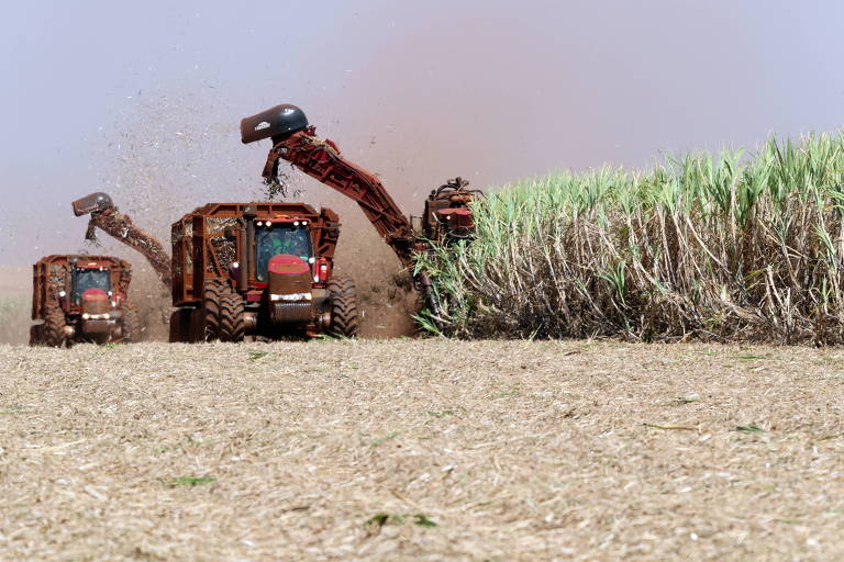 Gigante do álcool e açúcar diz que gasolina pode ficar ainda mais