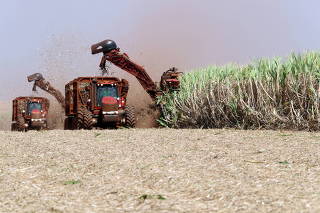 FILE PHOTO: A combine harvester cuts sugar cane in a field at the Sao Martinho sugar mill in Pradopolis
