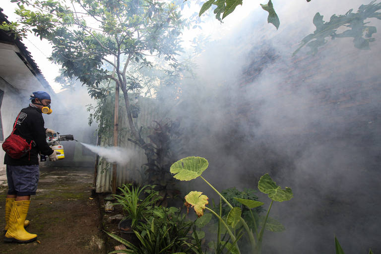 Restrições da Covid evitaram a dengue em centenas de milhares de pessoas em 2020