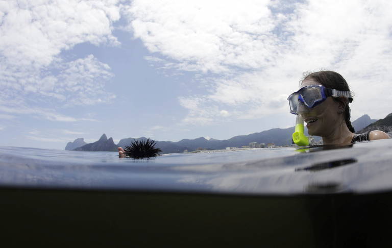 Após mergulharem para colher amostras de vida marinha, biólogos medem a quantidade de microplástico encontrado dentro dos organismos em um laboratório