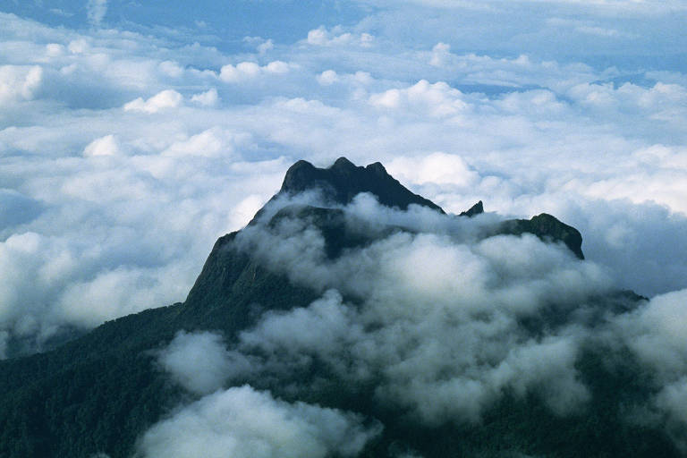Expedições turísticas ao Pico da Neblina são retomadas