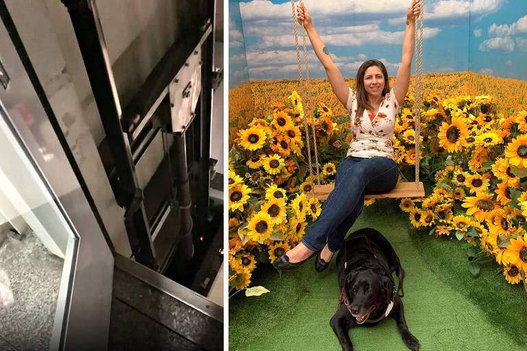Cão-guia impede queda de passageira cega em fosso de elevador do metrô de SP