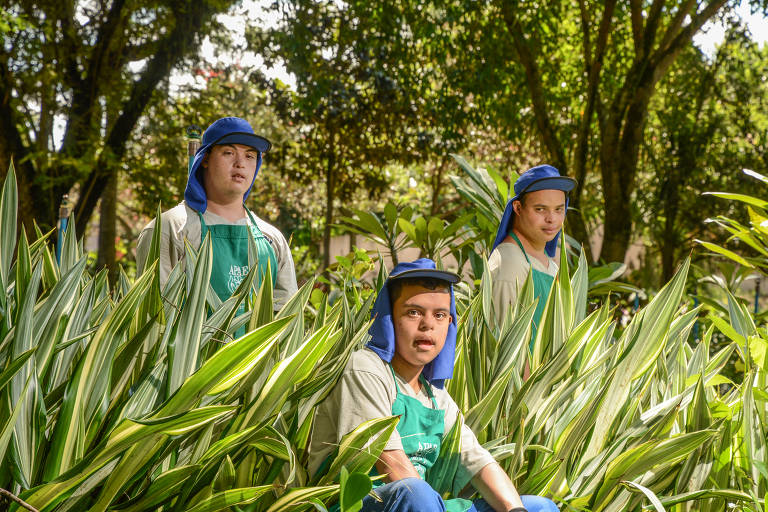 Três rapazes com síndrome de Down, vestidos com blusa branca, avental verde e chapéu azul, estão dentro de área arborizada
