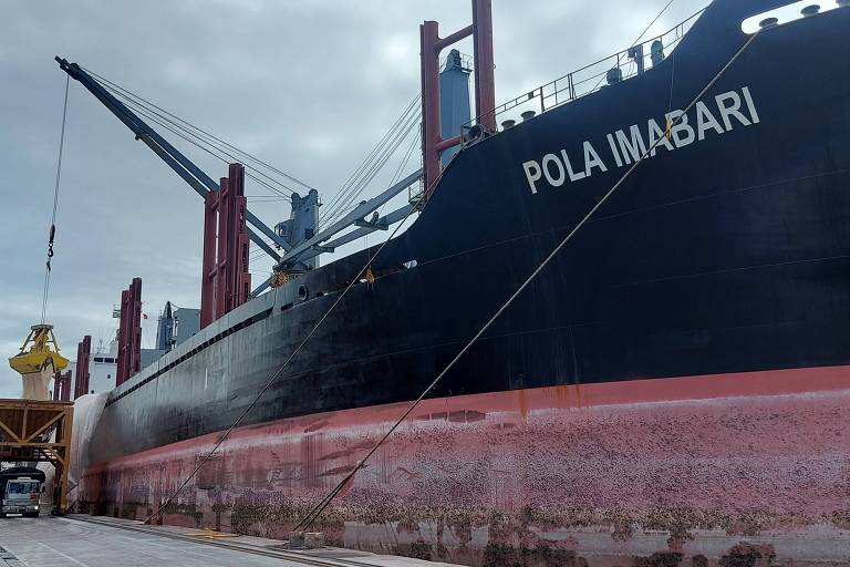 Navio com fertilizante importado poderá furar fila nos portos brasileiros