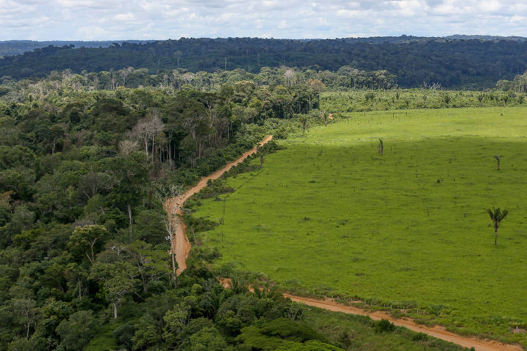 Amazônia bate recorde de alertas de desmatamento no 1º trimestre