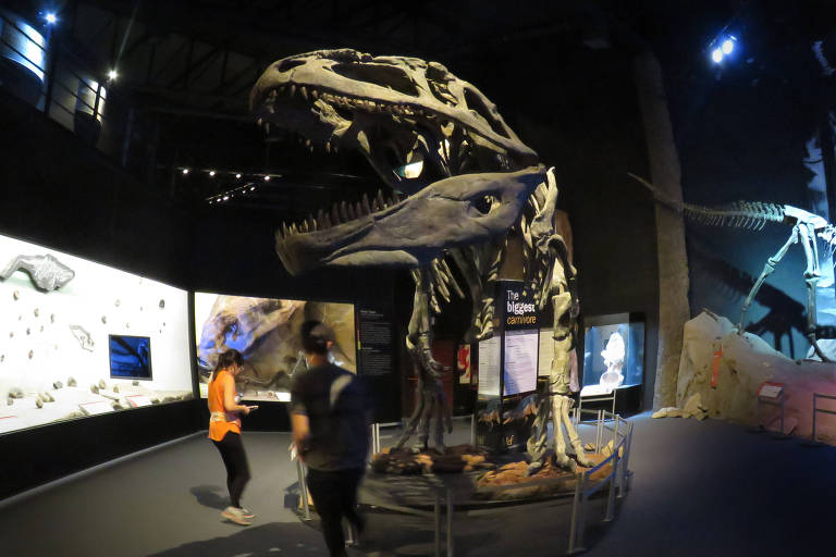 Museo Paleontológico Egidio Feruglio guarda fósseis de 15 dinossauros patagônicos
