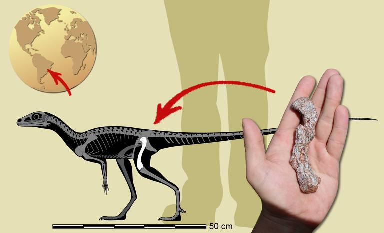 Imagem de uma mão humana segurando um pedaço do osso de precursor dos dinos; uma ilustração, ao fundo, mostra onde ficaria o pedaço de osso no bicho 