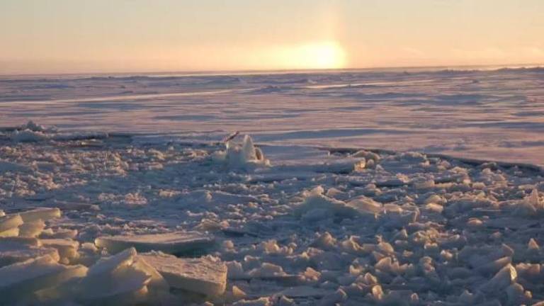 Gelo no oceano ártico