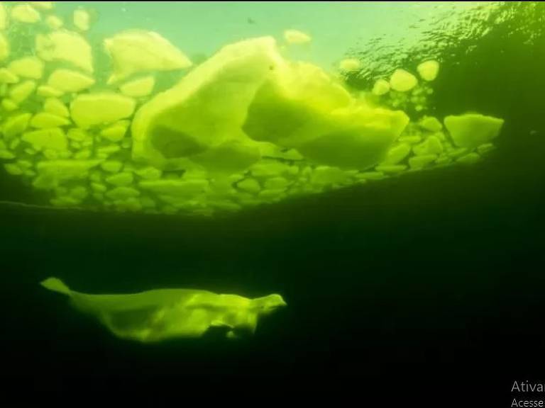 Vista submarina do gelo no Ártico