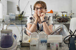 ***especial exclusivo FOLHA*** Retrato da professora e pesquisadora Sra Helena Nader, candidata a presidencia da Academia Brasileira de Ciencias (ABC) em seu laboratorio na Unifesp
