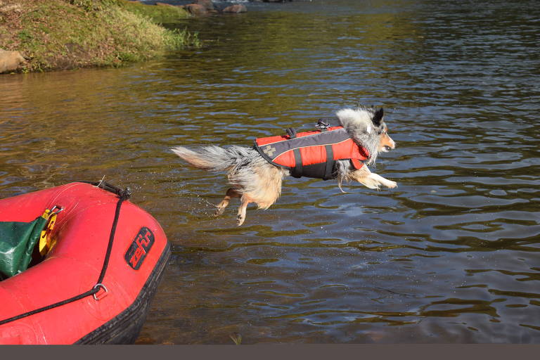 Brotas São Paulo
Rafiting com cachorro
Foto: divulgação
