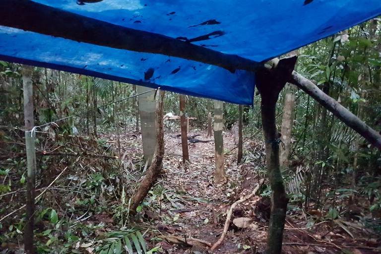 Bivaque montado no meio da mata para pernoite na floresta amazônica