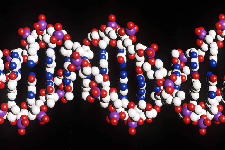 Estrutura de dupla hélice do DNA humano, que foi completamente sequenciado pela primeira vez