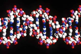 BRITAIN-SCIENCE GENOME/DNA 4