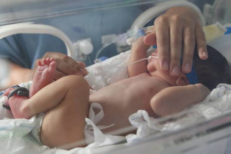 Bebê é cuidado em uma incubadora de UTI neonatal