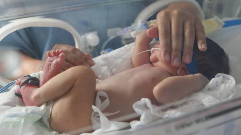 Bebê é cuidado em uma incubadora de UTI neonatal