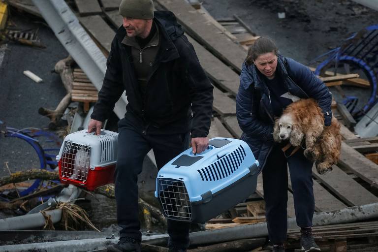 Guerra na Ucrânia e evento com animais no Japão; veja pets pelo mundo