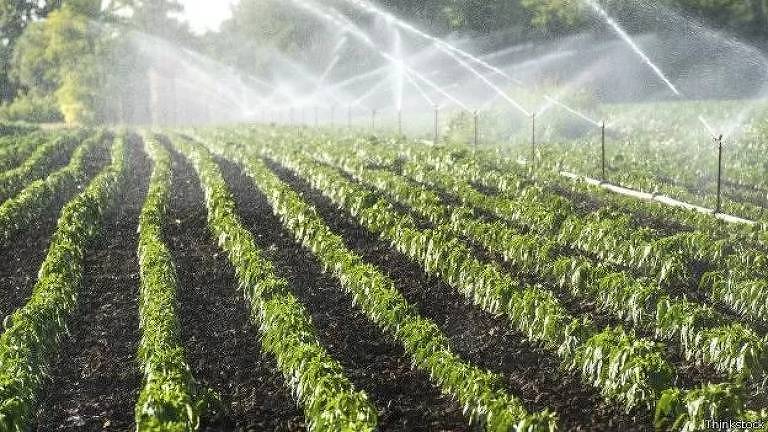 Irrigação lidera o consumo per capita de águas subterrâneas no Brasil.