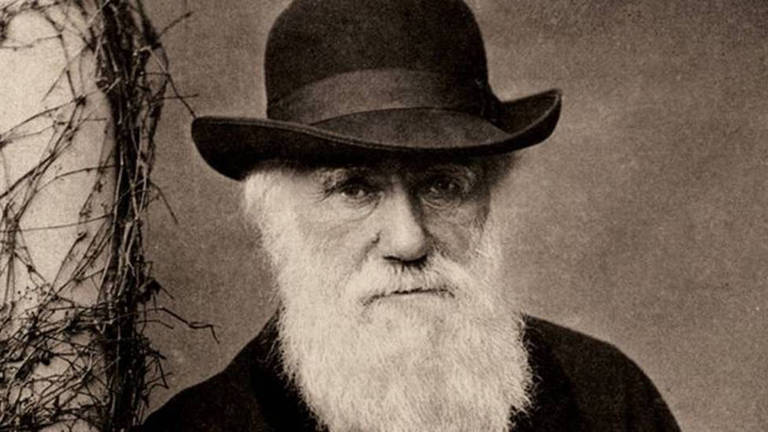 A obra de Charles Darwin sobre a teoria da evolução pela seleção natural mudou a maneira como pensamos sobre o mundo natural