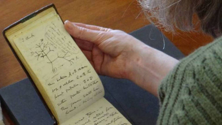Os cadernos de Charles Darwin que reapareceram misteriosamente 22 anos após sumiço