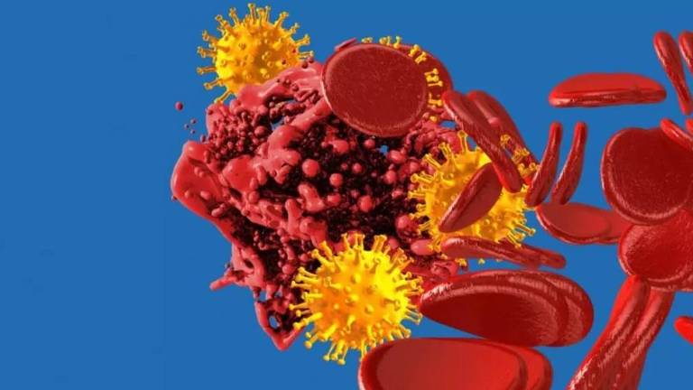 Coronavírus atacante células sanguíneas