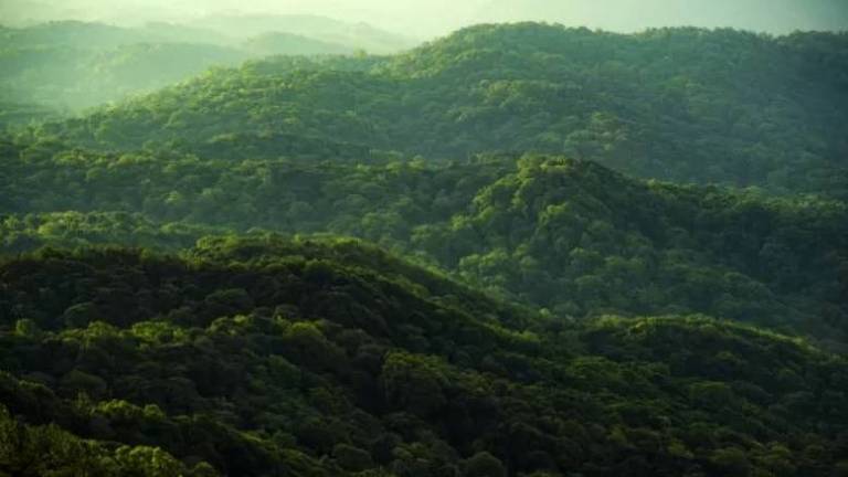 Um planeta com uma configuração continental diferente teria um outro tipo de clima