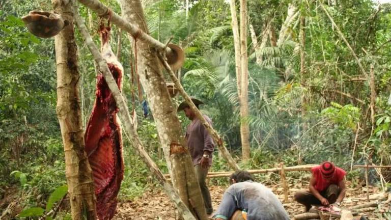 Ribeirinhos preparam carne de anta e jabuti para alimentação em uma das comunidades da floresta Amazônica visitadas pelos pesquisadores