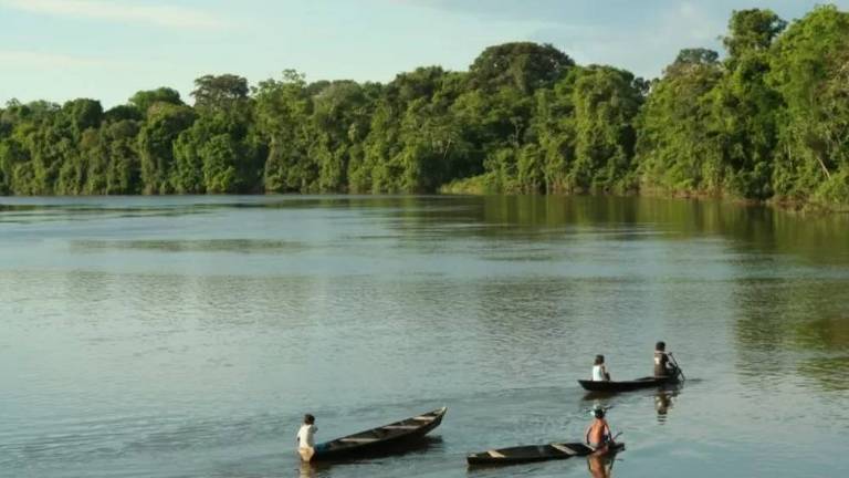 Crianças ribeirinhas em canoas no Rio Tefé, no Amazonas