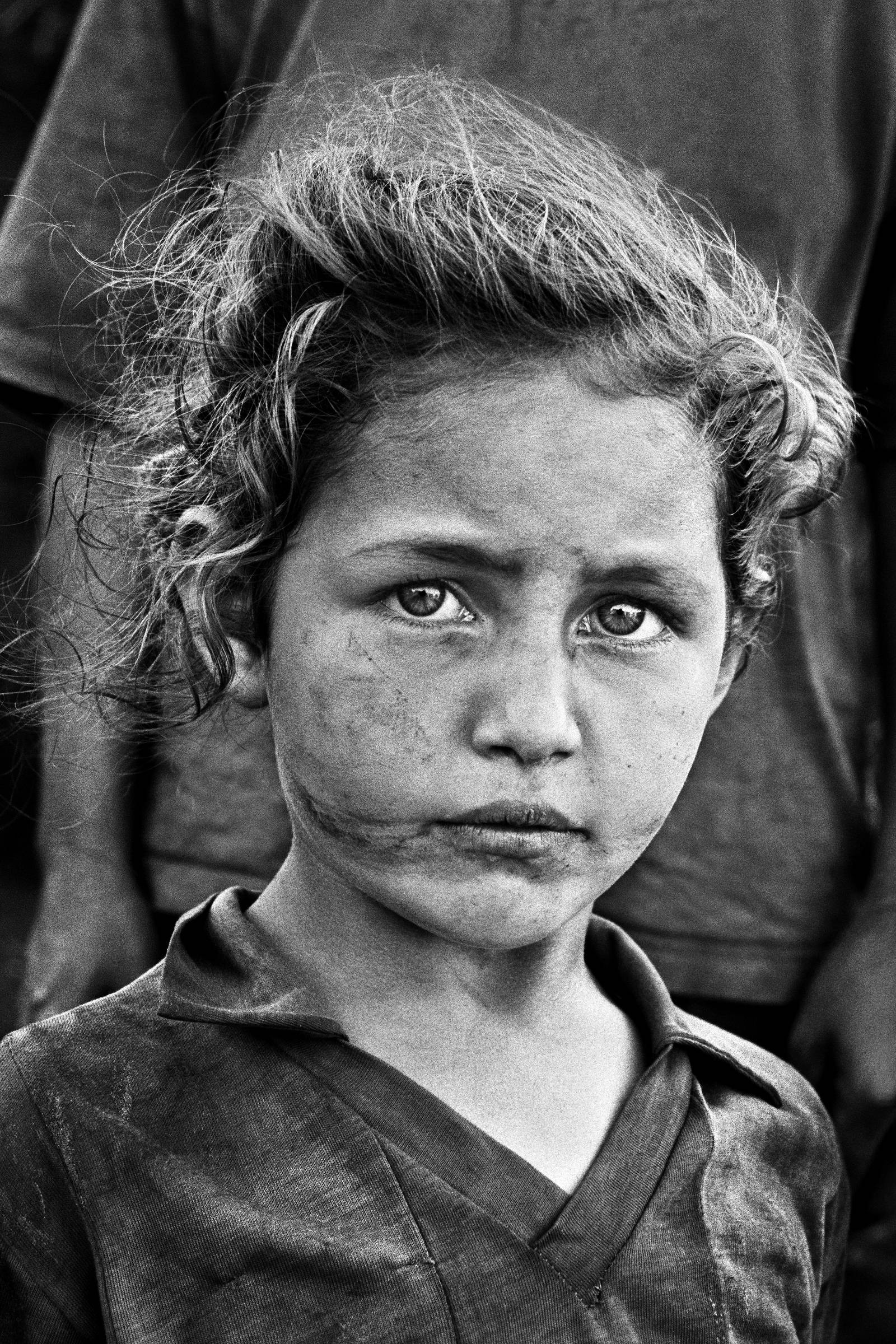 Terra | Amazon.com.br