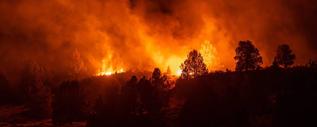 Incêndio de grandes proporções nas florestas da Califórnia vêm se tornando cada vez mais frequentes