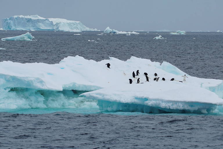 Estudo confirma derretimento excepcional da banquisa antártica em 2022