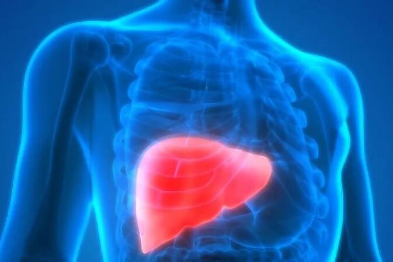 A hepatite é a inflamação do fígado e é a segunda maior doença infecciosa letal do mundo