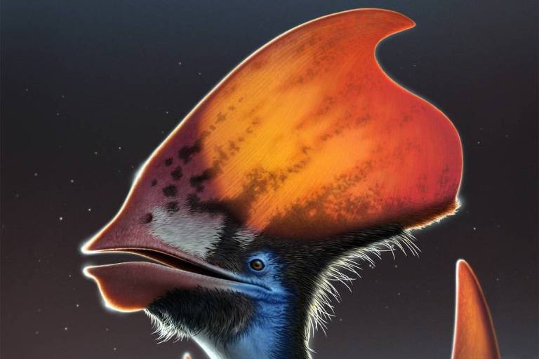 Reconstrução de Tupandactylus cf. imperator, fóssil de pterossauro que viveu onde hoje é a região da Bacia do Araripe, no Nordeste brasileiro, há 115 milhões de anos
