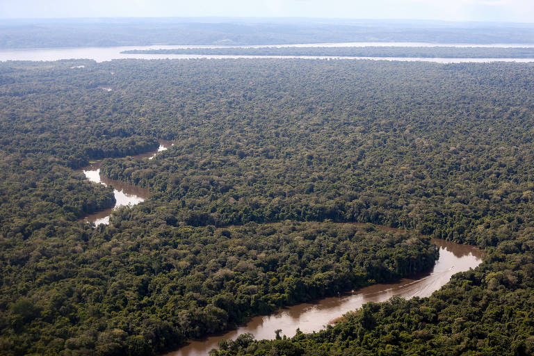 Imagem aérea da floresta amazônica, na região da bacia do Rio Tapajós, no estado do Pará