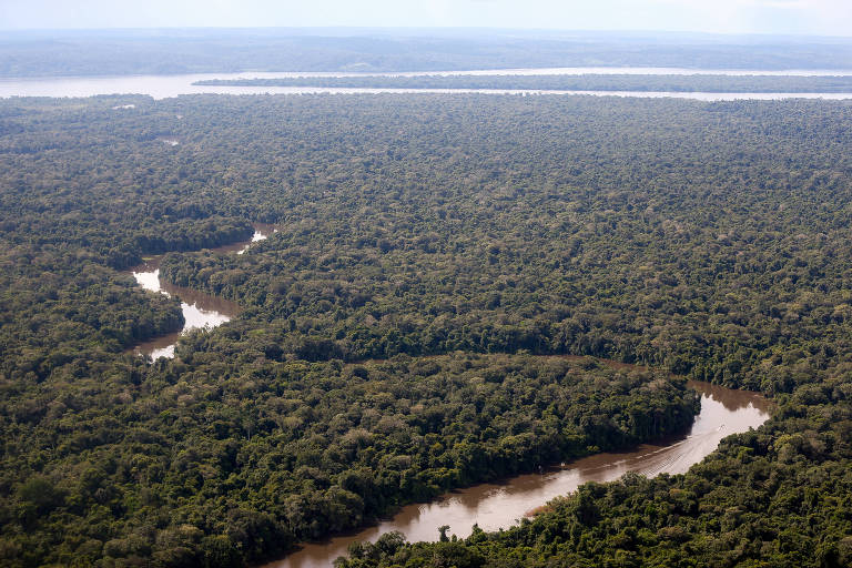 Imagem aérea da floresta amazônica mostra copa de árvores na maior parte da foto com rio sinuoso na região central da imagem. Bem ao fundo, um pedaço do céu