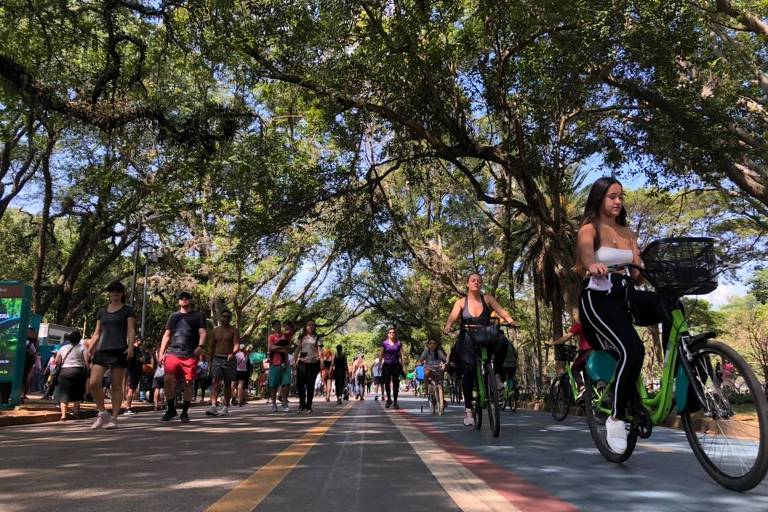 Pessoas andam e pedalam em meio às árvores do Ibirapuera