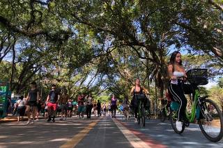 Movimentação de turistas  no Parque Ibirapuera