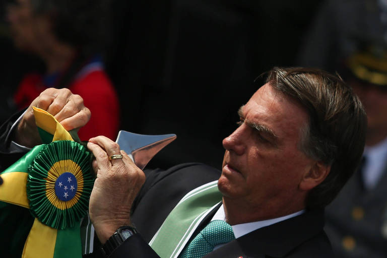 Bolsonaro não teme STF porque vive da crise institucional, diz pesquisadora