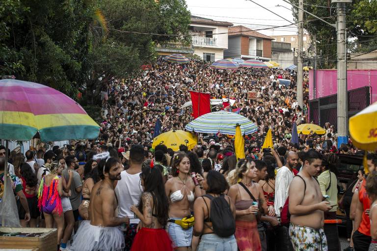 Carnaval de rua de São Paulo tem 118 desfiles cancelados