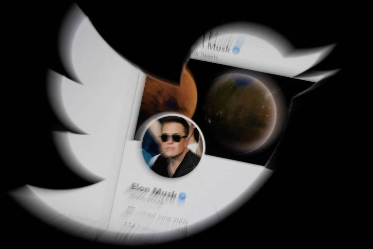 Bolsonaristas têm boom de seguidores após Musk comprar Twitter; especialistas veem movimento coordenado