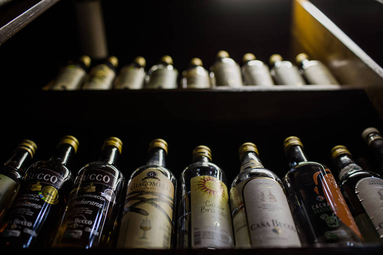 Imagem mostra garrafas de vinho, de vidro, enfileiradas em prateleiras de uma estante de madeira.