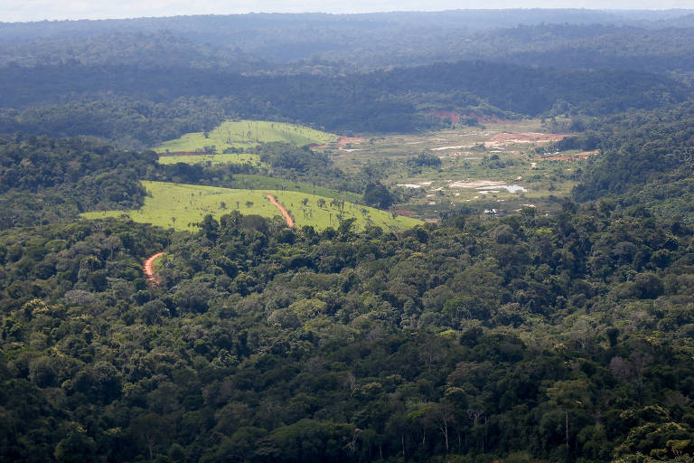 Áreas de pastagem devastada na floresta Amazônica, na região da bacia do rio Tapajós, no estado do Pará