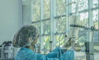 Pesquisadora no laboratório do IPT, que participa do programa de xenotransplantes.