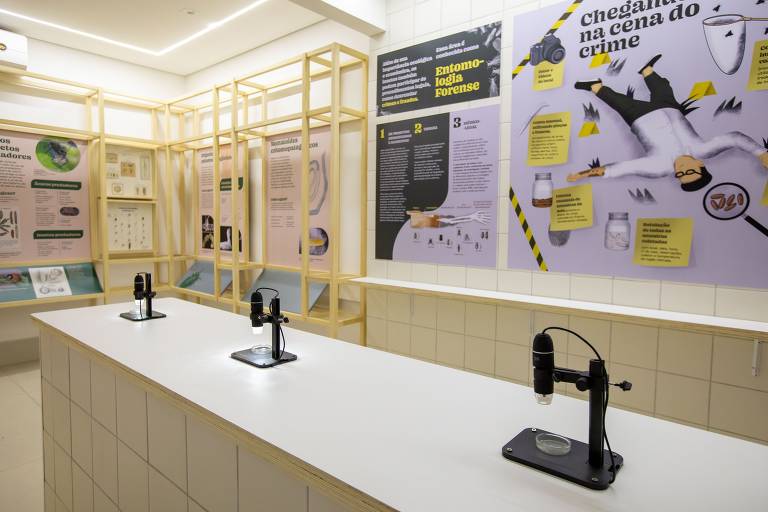 Ambiente da exposição Planeta Inseto, no Museu do Instituto Biológico, mostra como animais podem ajudar em cenários de crimes