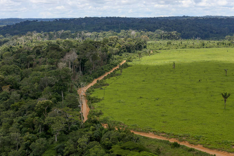 Floresta amazônica com uma grande clareira de pasto provocada por desmatamento irregular