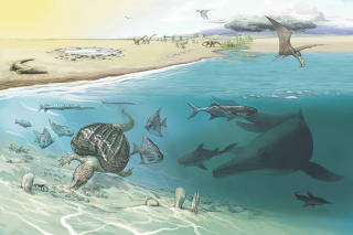 Reconstruction of a scene from 200 million years ago in what is now the Swiss High Alps