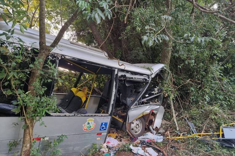 Ônibus ficou destruído após despencar de rodovia